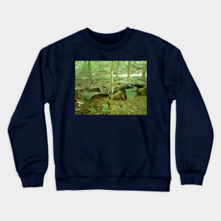 Decay Crewneck Sweatshirt